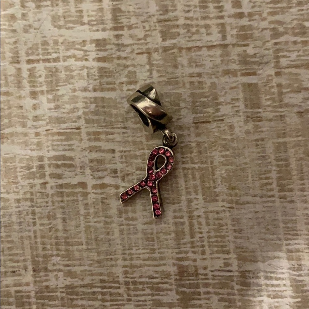 Breast cancer pandora charm